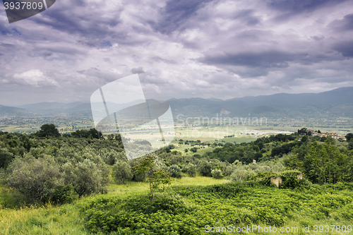 Image of Landscape in Italy Marche