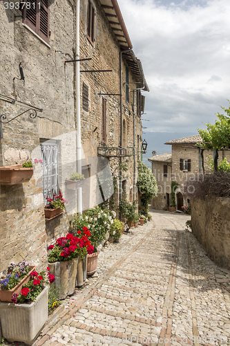 Image of typical italian city street