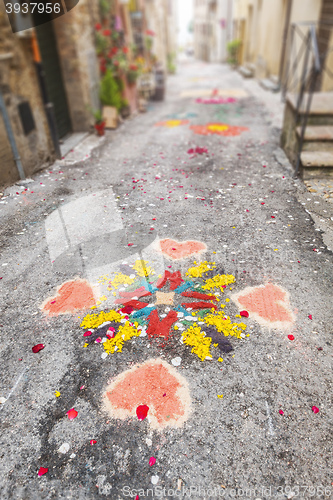 Image of paintings of flowers celebration in Italy