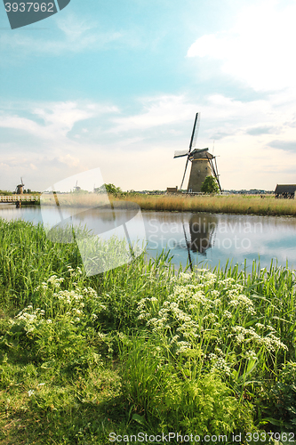 Image of Traditional Dutch windmills with green grass in the foreground, The Netherlands