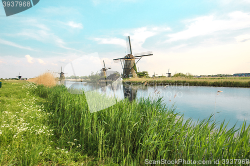 Image of Traditional Dutch windmills with green grass in the foreground, The Netherlands