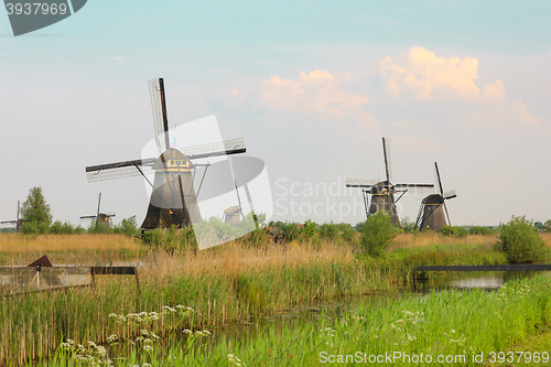 Image of Traditional Dutch windmills with green grass in the foreground, The Netherlands