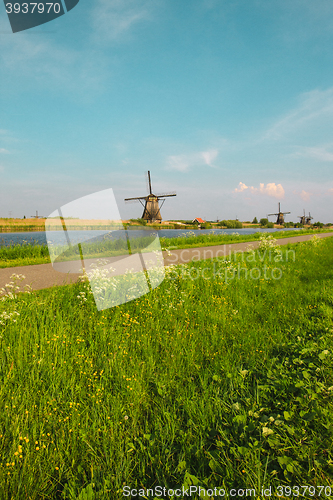 Image of Traditional Dutch windmills with green grass in the foreground, The Netherlands