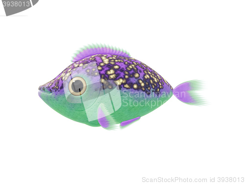 Image of purple green fish