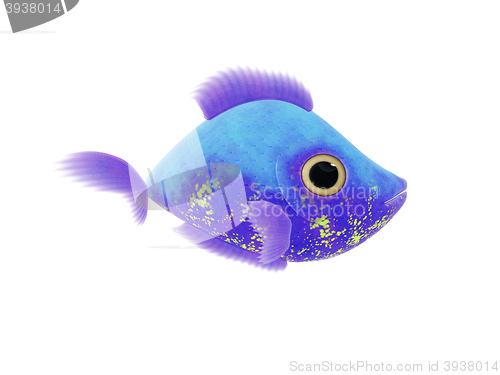 Image of purple blue fish