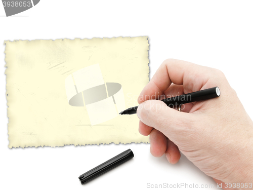 Image of Felt Pen In Man Hand