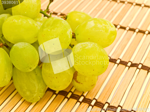 Image of Grape 