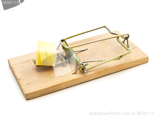 Image of Mouse Trap