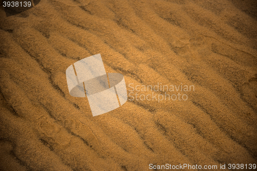 Image of Sand Dunes