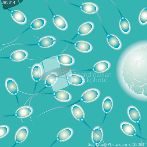 Image of sperm medical