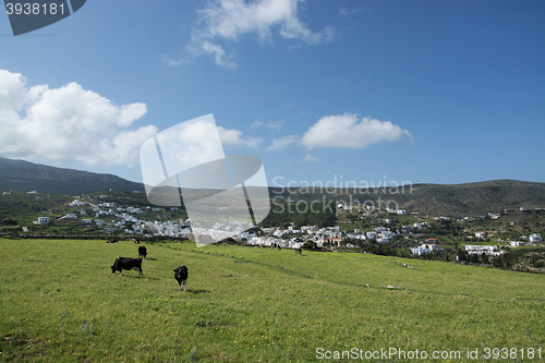 Image of Lefkes, Paros, Greece