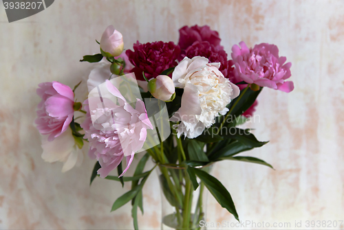 Image of Bouquet of beautiful peonies