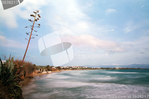 Image of Golden Beach, Paros, Greece