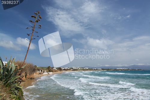 Image of Golden Beach, Paros, Greece