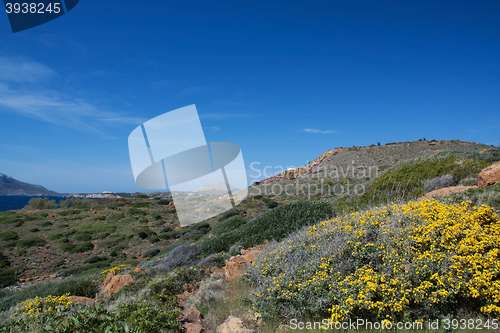 Image of Coast of Attica, Greece