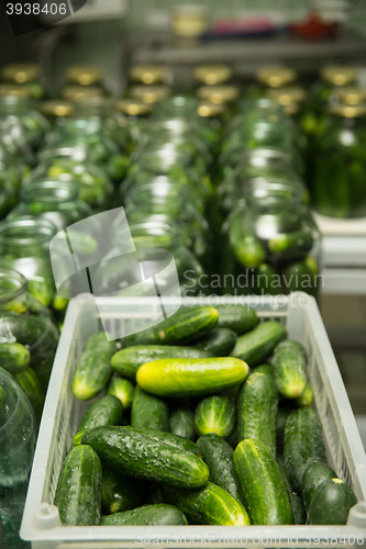 Image of gurtsov conservation. Fresh cucumbers in jars