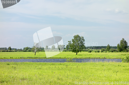 Image of green field background
