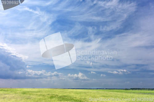 Image of green field background