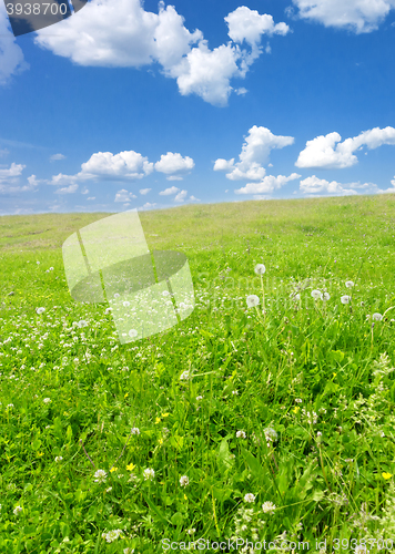 Image of sky summer landscape