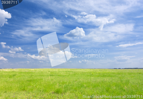Image of summer sky landscape