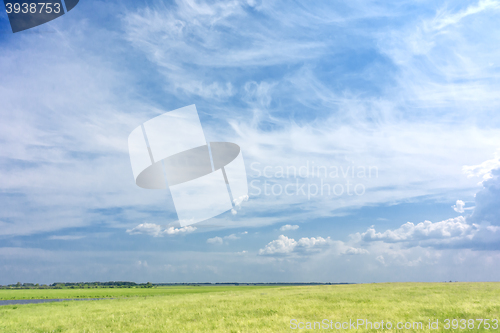 Image of green field background