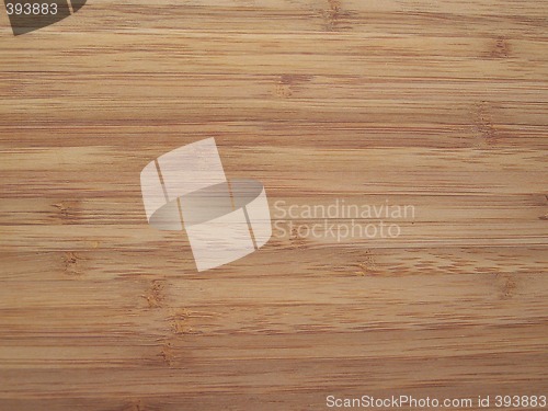 Image of Bamboo texture