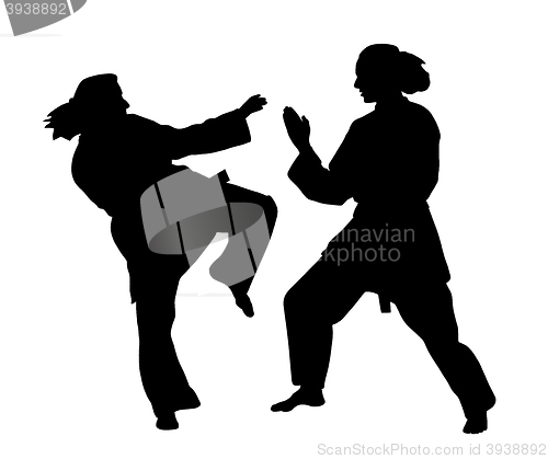 Image of Women karate fight