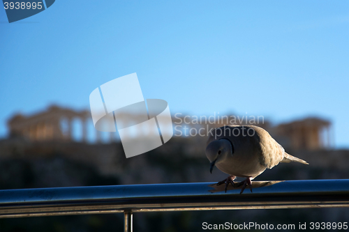 Image of Acropolis of Athens, Geece