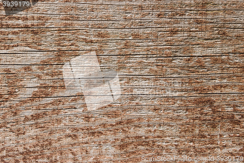 Image of Wood texture background 