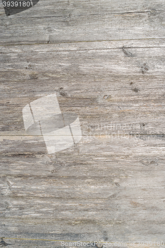 Image of Wood texture background 