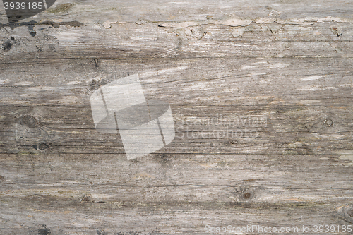 Image of Wood texture background 