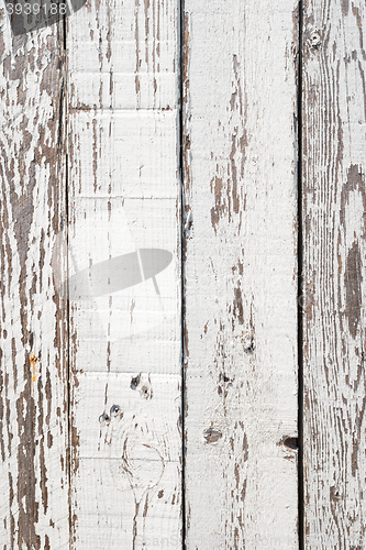 Image of Wood texture background 
