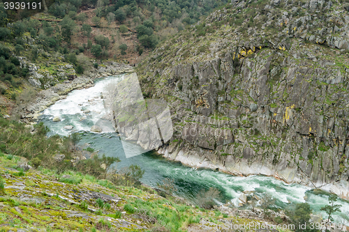 Image of Paiva river