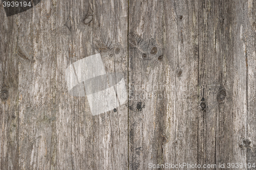 Image of Wood texture background 