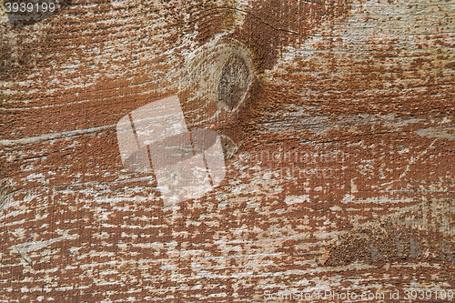 Image of Wood texture background 