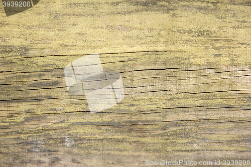Image of Wood texture background 
