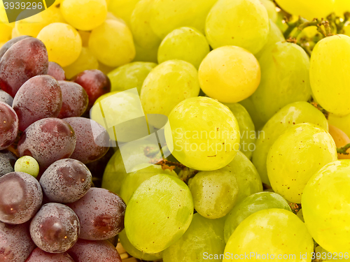 Image of Grape 