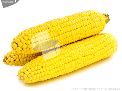 Image of Corns 