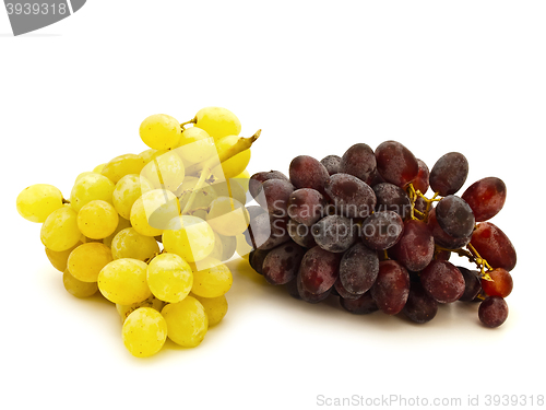 Image of Grape
