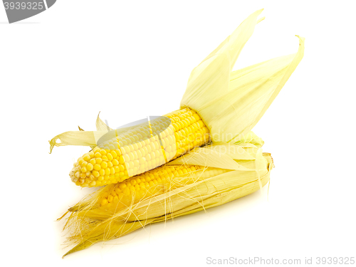 Image of Corn