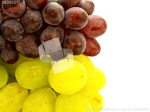 Image of Grape