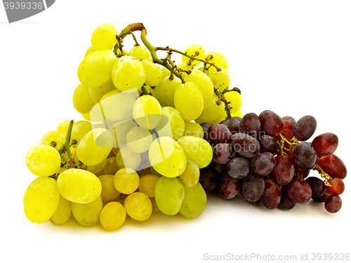 Image of Grape
