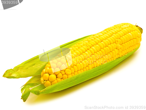 Image of Corn 