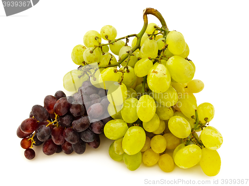 Image of Grape