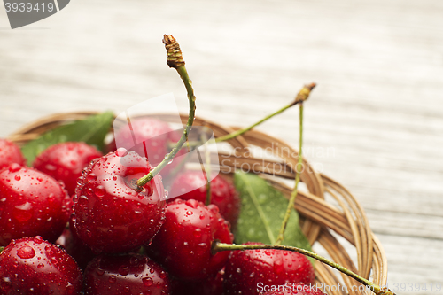 Image of Cherry