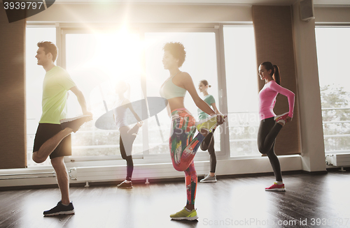 Image of group of smiling people exercising in gym