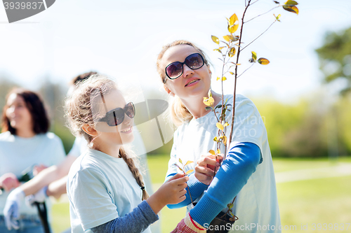 Image of volunteers family with tree seedling in park