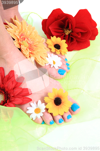 Image of nice legs with pedicure