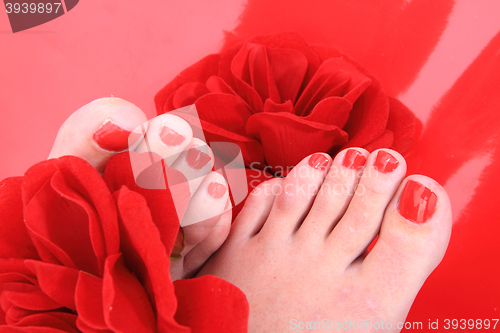Image of nice legs with pedicure