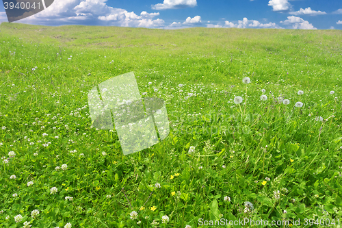 Image of sky summer landscape